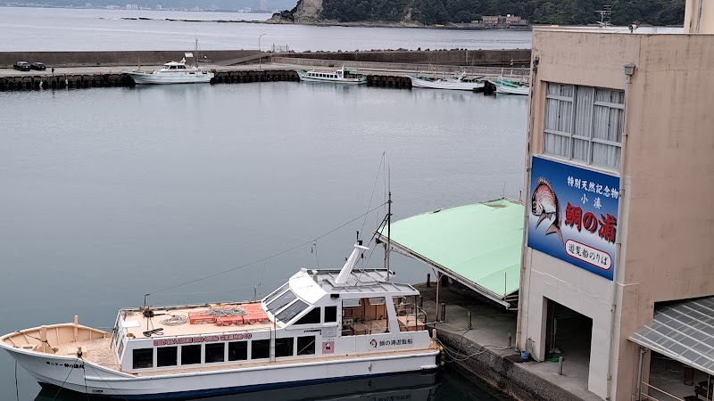 緑水亭 勝浦別館・翠海