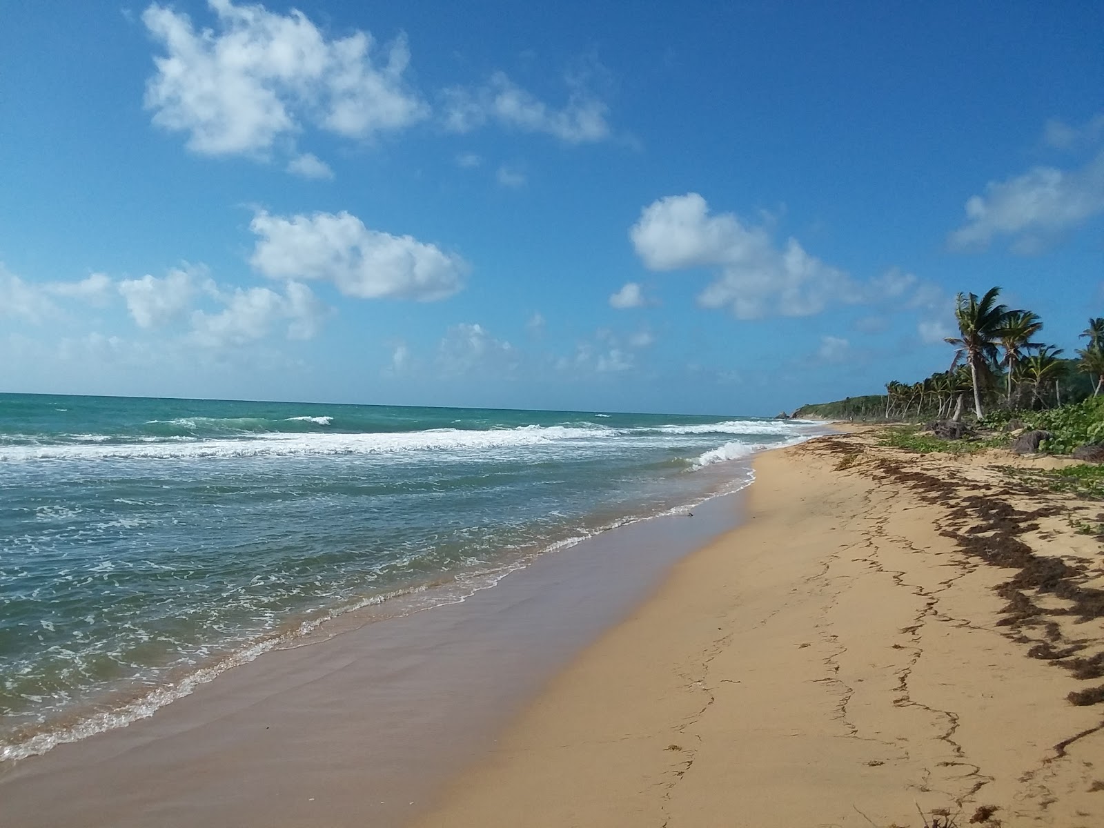 Photo of Playa Grande and the settlement