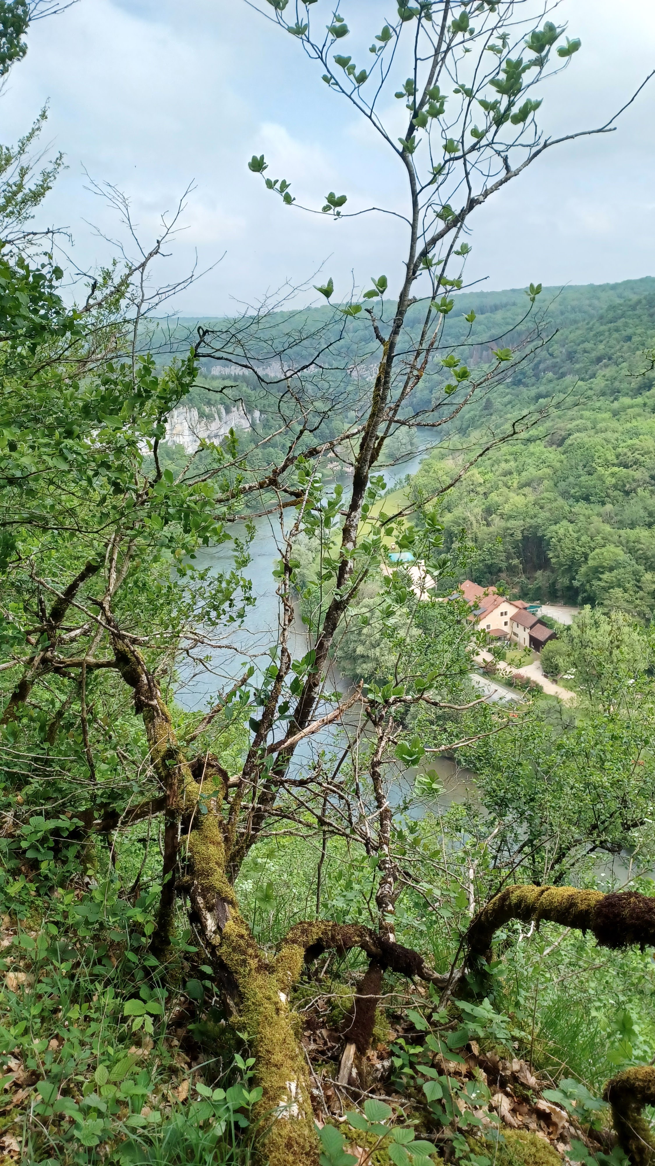 Photo n° 12 de l'avis de Françoise.I fait le 27/05/2023 à 15:56