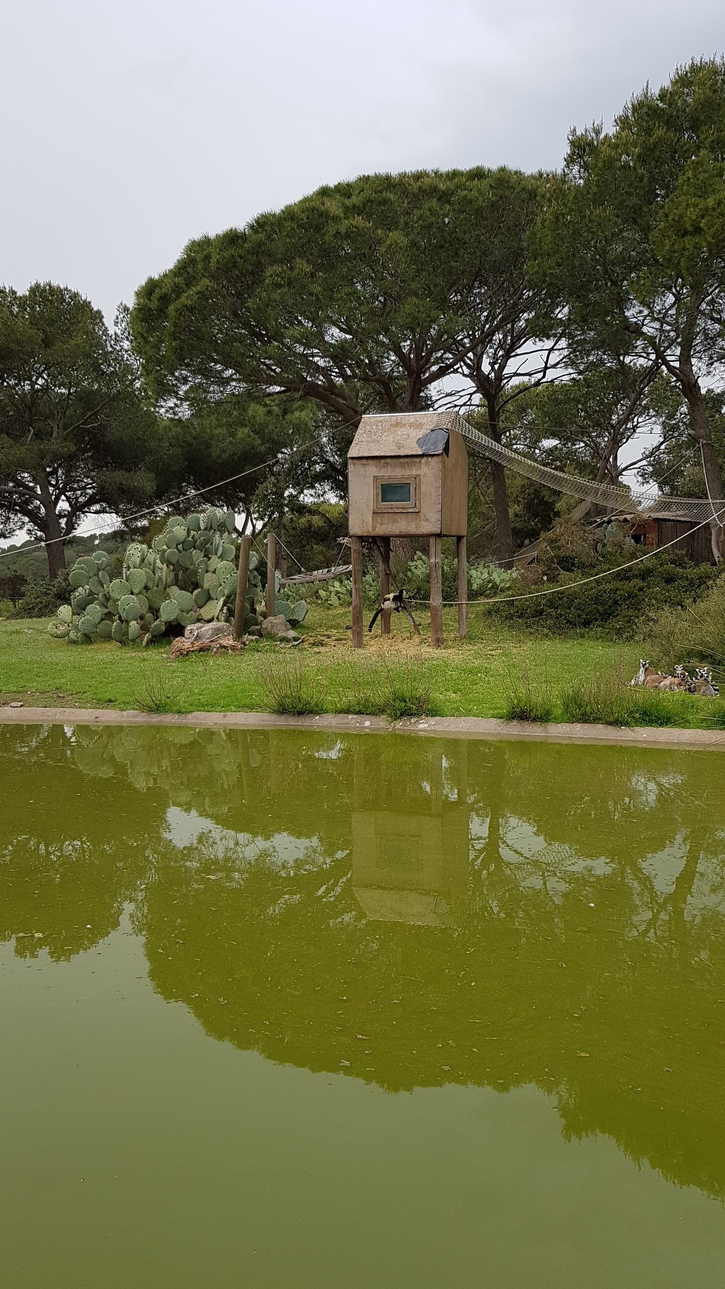 Photo n° 13 de l'avis de Isabelle.e fait le 16/04/2019 à 22:21