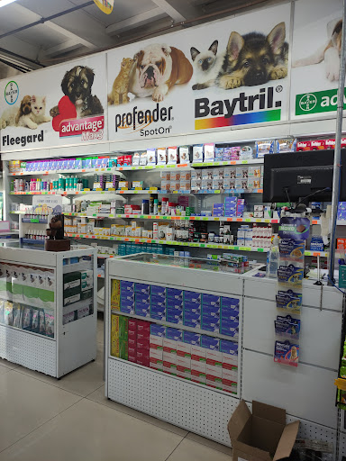 Logo da empresa - Mercadão Pet