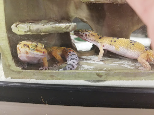 Pet Supply Store «Petco Animal Supplies», reviews and photos, 710 W 66th St, Richfield, MN 55423, USA