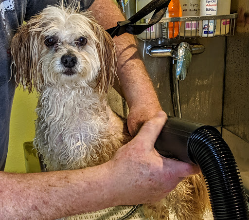 Grocery Store «Ocean Shores IGA», reviews and photos, 101 E Chance a La Mer NE, Ocean Shores, WA 98569, USA