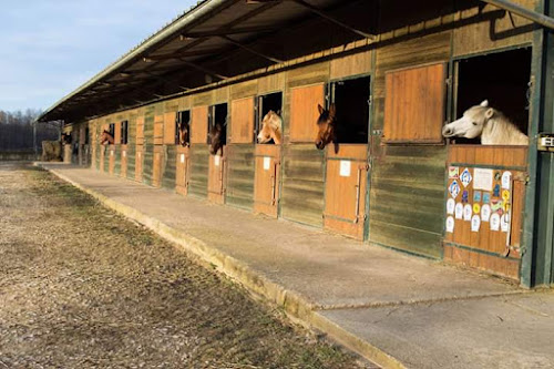 Centre équestre Gaudry Equitation Saint-Sauveur-en-Puisaye