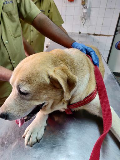 Free veterinarian Mumbai