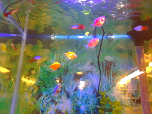 Pet Supply Store «Pets For You», reviews and photos, 413 N Main St, Rice Lake, WI 54868, USA