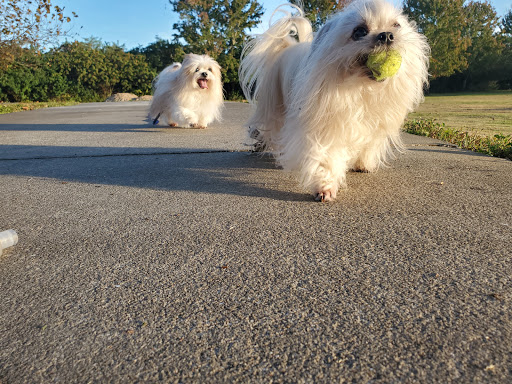 Meadow Woods Dog Park