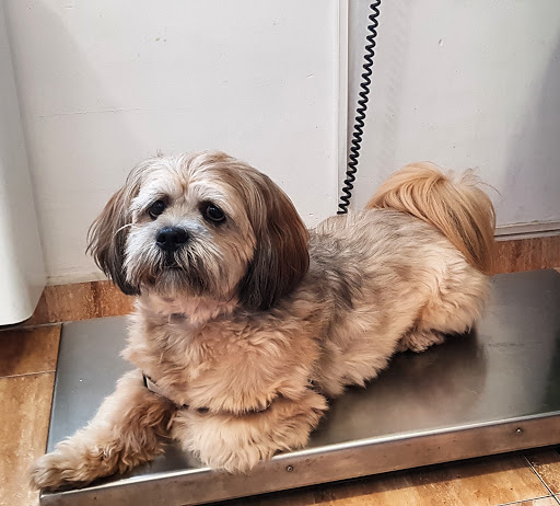 Consultorio Veterinario Ricard Graells en Terrassa