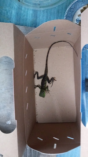 Pet Supply Store «Petco Animal Supplies», reviews and photos, 5239 Harvey St, Norton Shores, MI 49444, USA