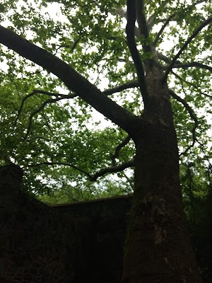 Hagley Museum - photo 35