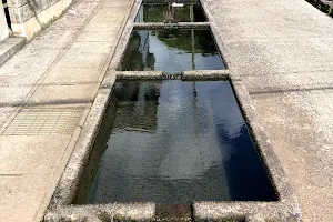 神泉の水（里の名水・やまがた百選） image