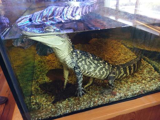Iberville Parish Visitor's Center