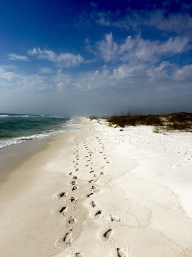 National Park «Fort Pickens», reviews and photos, 1400 Fort Pickens Rd, Pensacola Beach, FL 32561, USA