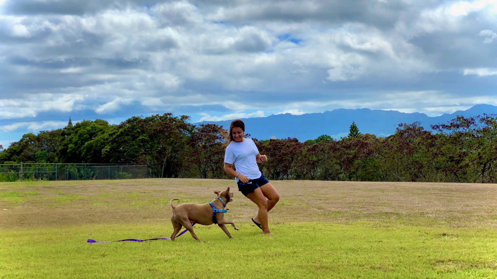 Lasata Dog Training