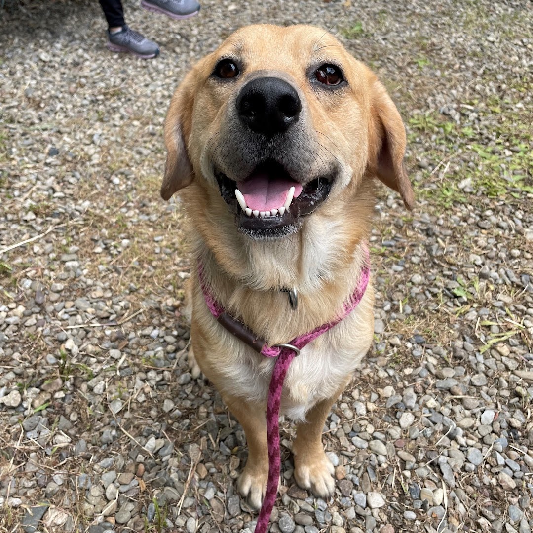 St. Hubert’s Animal Welfare Center - Noah’s Ark Center