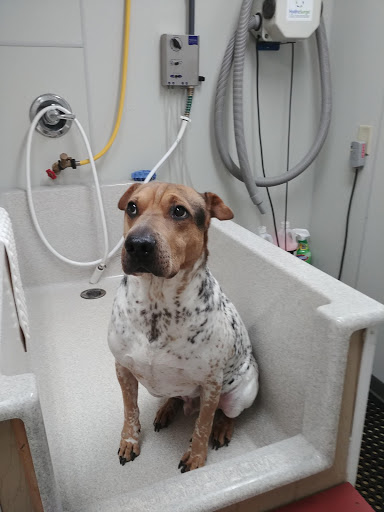 Pet Supply Store «Pet Pleasers Bakery Inc», reviews and photos, 660 Dawsonville Hwy, Gainesville, GA 30501, USA