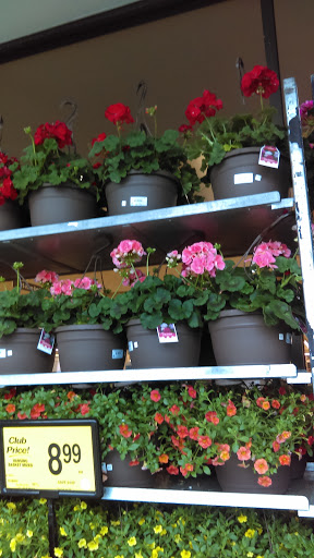 Grocery Store «Safeway», reviews and photos, 437 S King St, Leesburg, VA 20175, USA