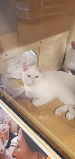 Pet Supply Store «PetSmart», reviews and photos, 1196 W Olive Ave, Merced, CA 95348, USA