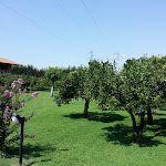 Photo n°9 de l'avis de Andrea. fait le 10/03/2017 à 16:30 sur le  Pizzo Calabro Resort à Pizzo