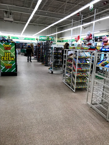 Dollar Store «Dollar Tree», reviews and photos, 1031 E Oakton St, Des Plaines, IL 60018, USA