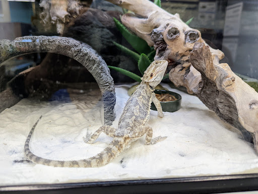 Pet Supply Store «Petco Animal Supplies», reviews and photos, 15895 Pines Blvd, Pembroke Pines, FL 33028, USA