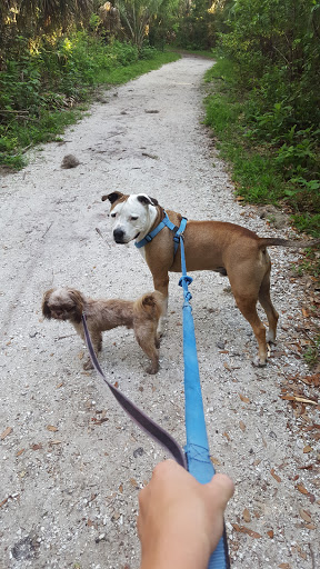 Park «Hammock Park», reviews and photos, 1945 San Mateo Dr, Dunedin, FL 34698, USA