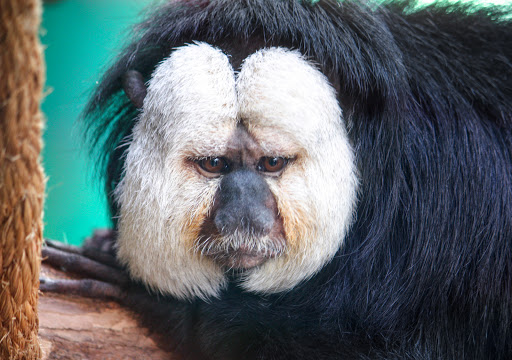 Zoo «Red River Zoo», reviews and photos, 4255 23rd Ave S, Fargo, ND 58104, USA