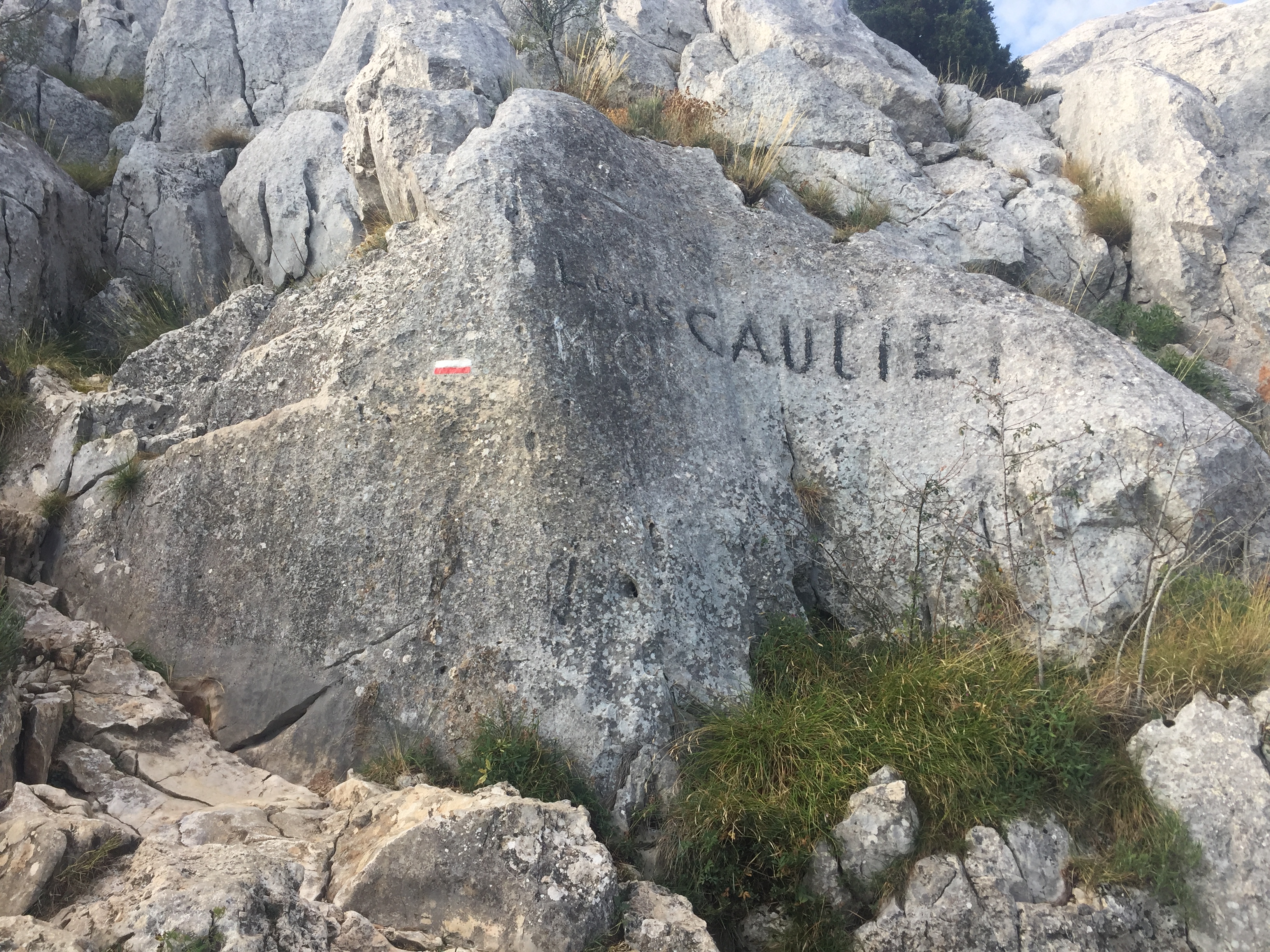Photo n° 15 de l'avis de Woosuk. fait le 31/08/2019 à 11:22