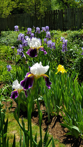 Monument «Minute Man Statue», reviews and photos, Monument St, Concord, MA 01742, USA