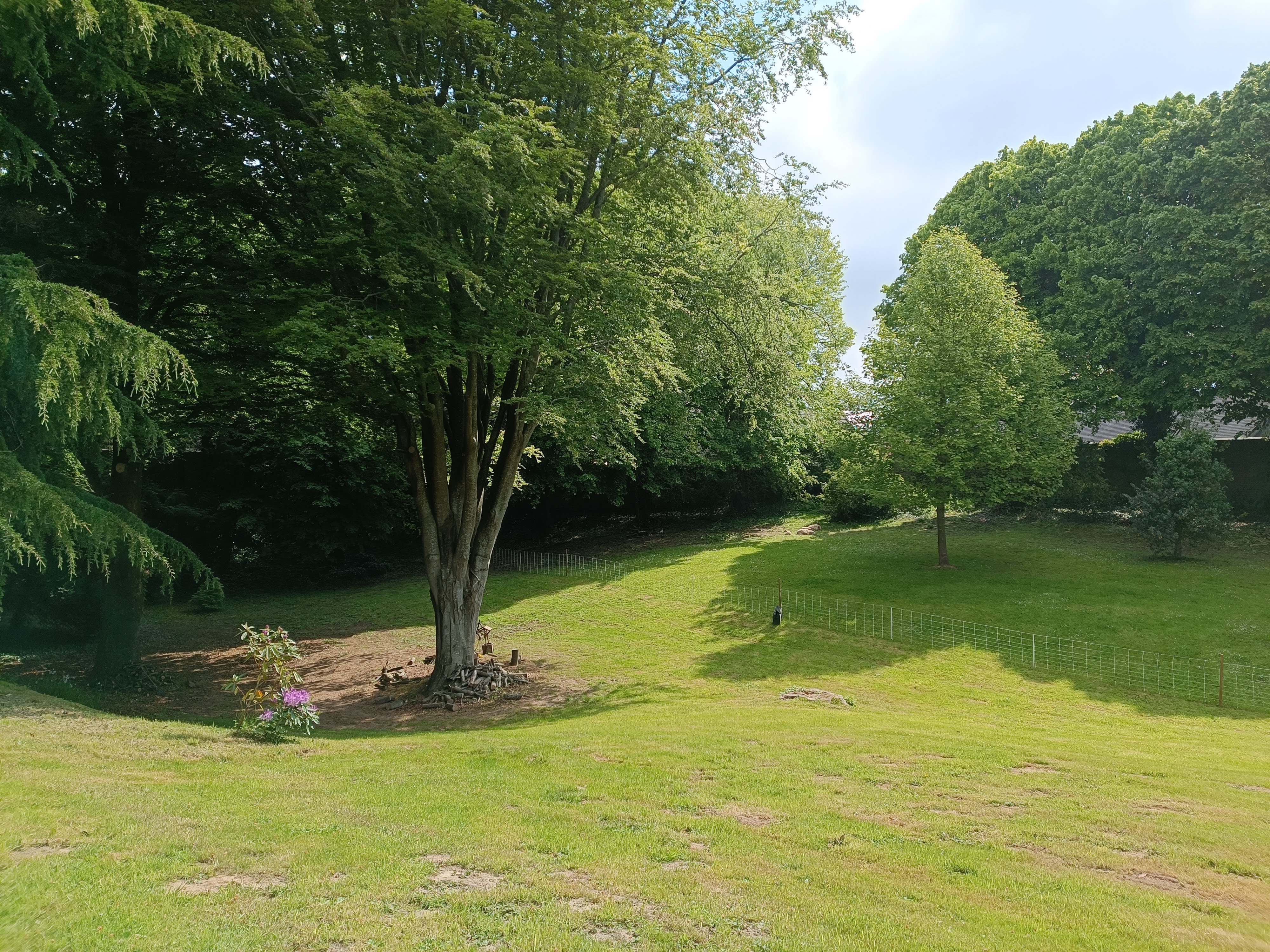Photo n° 7 de l'avis de Guillaume.a fait le 20/05/2023 à 11:59