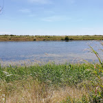 Photo n°27 de l'avis de Linux. fait le 24/05/2019 à 14:43 sur le  Marinagri Greenblu Hotel à Torre Mozza