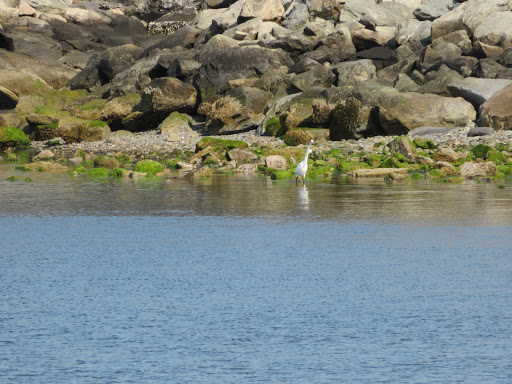 State Park «Colt State Park», reviews and photos, Route 114, Bristol, RI 02809, USA
