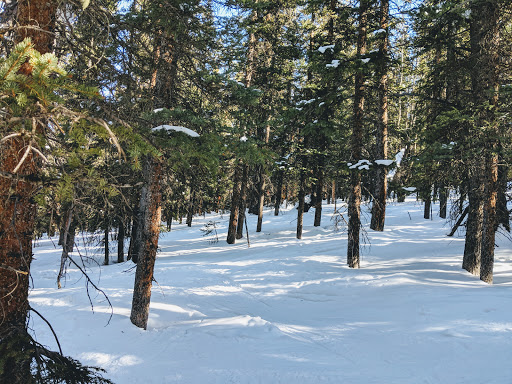 Ski Resort «Ski Cooper», reviews and photos, 232 County Road 29, Leadville, CO 80461, USA