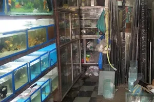 Vindhyachal Glass Works,Aquarium and pet Shop image