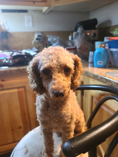 32 Access Rd, Houlton, ME 04730, USA