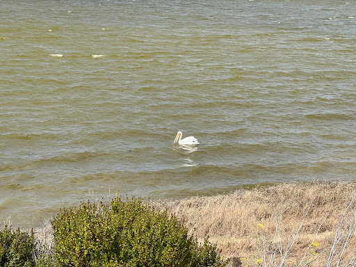 Performing Arts Theater «Richard B. Fisher Center for the Performing Arts», reviews and photos, 60 Manor Ave, Annandale-On-Hudson, NY 12504, USA