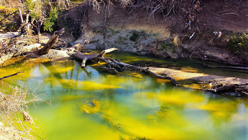 Nature Preserve «Spring Creek Forest Preserve», reviews and photos, 1770 Holford Rd, Garland, TX 75044, USA