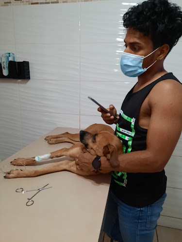 Veterinaria Puppies Vet - Antofagasta