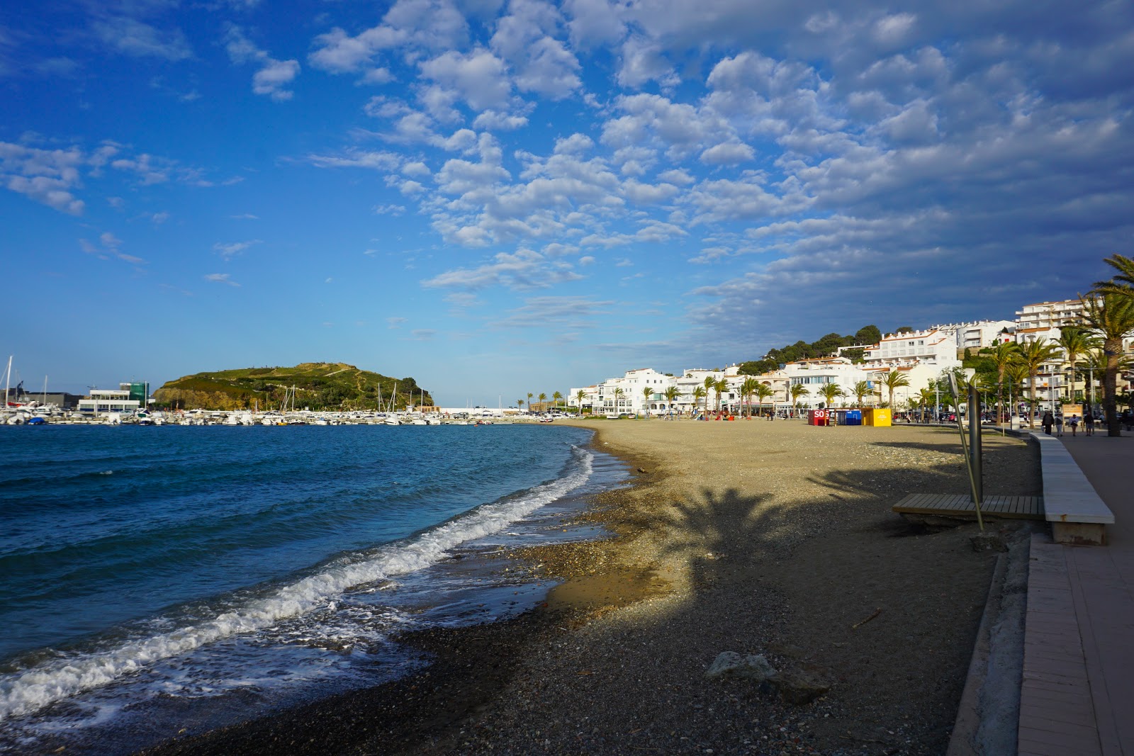 Foto di Platja del Port con una superficie del acqua cristallina