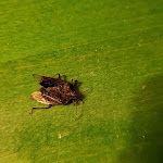 Photo n°16 de l'avis de Marco.n fait le 18/10/2023 à 02:45 sur le  LODI Hotel à Lodi