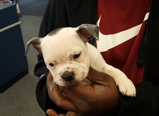 Shopping Mall «New Landing Mall», reviews and photos, Troost Ave & E Meyer Blvd, Kansas City, MO 64131, USA