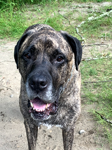 Park «Barton Park», reviews and photos, 19009 SE Barton Park Rd, Boring, OR 97009, USA