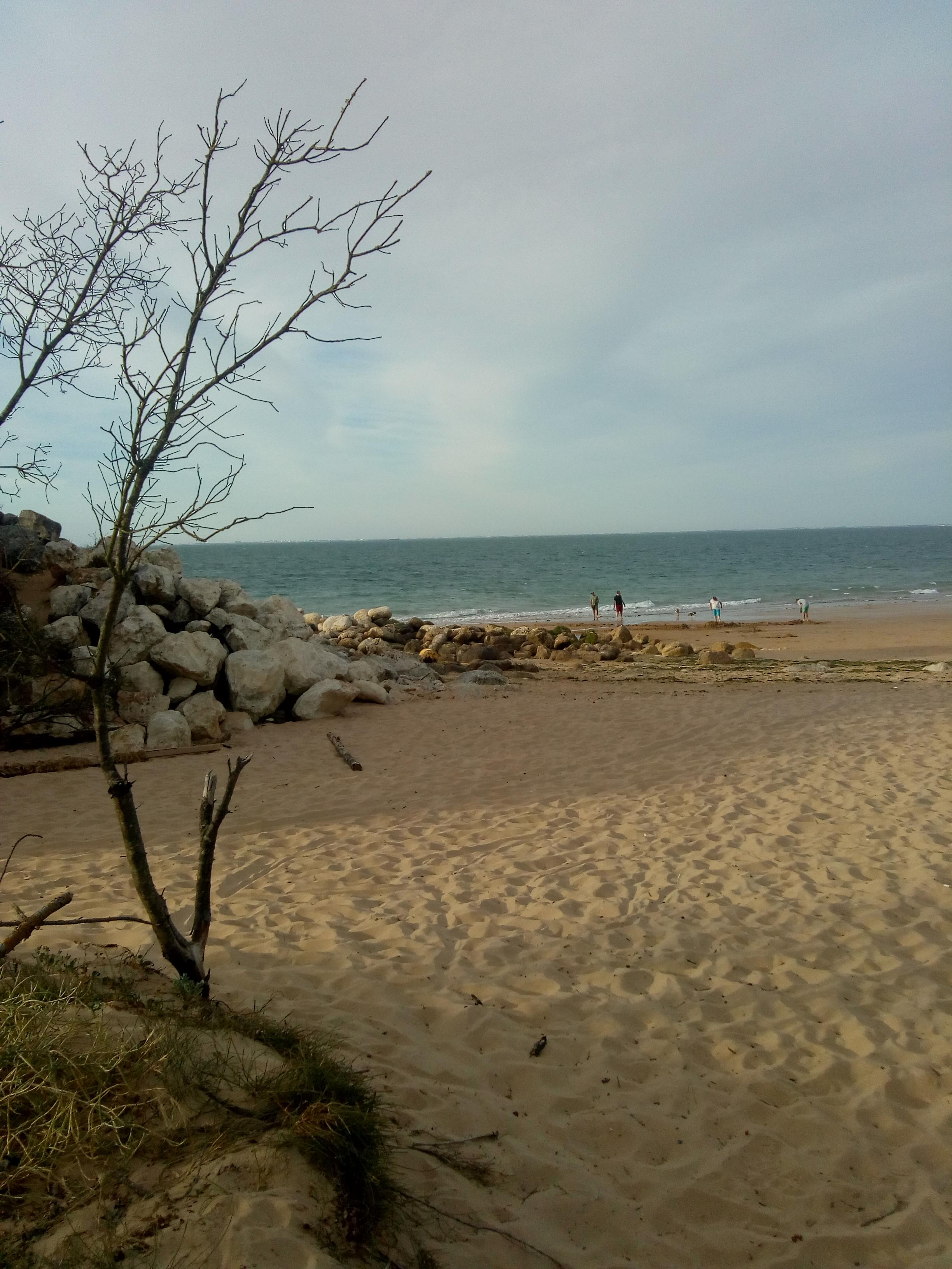 Photo n° 1 de l'avis de Marc.o fait le 24/07/2019 à 17:21