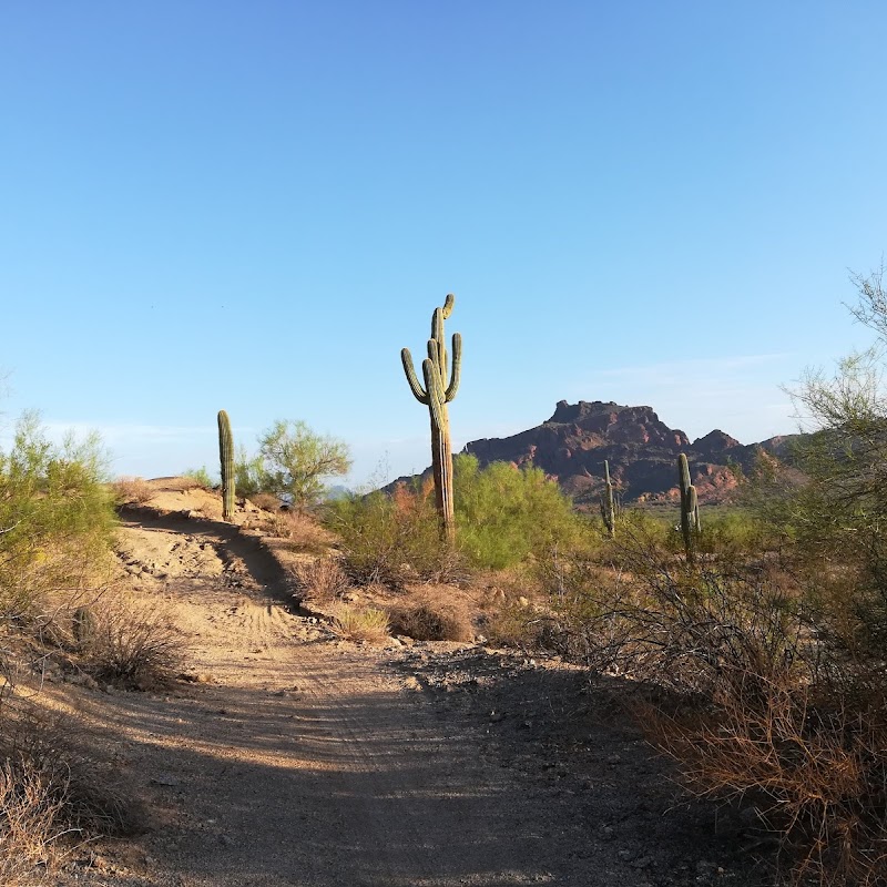 Hawes Trail System Entrance