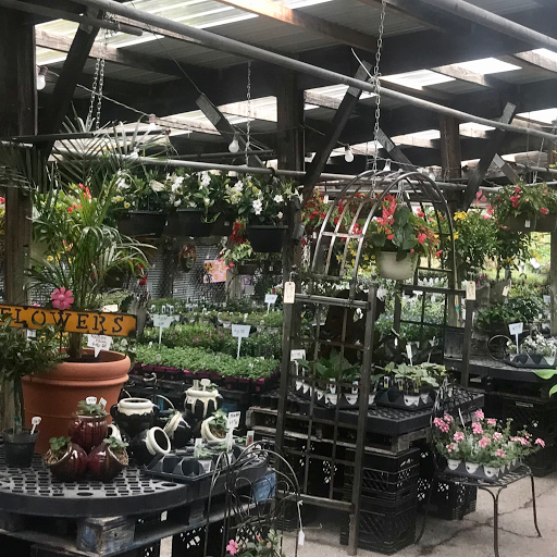 Florist «Sunshine Flowers», reviews and photos, 4509 Rainbow Blvd, Kansas City, KS 66103, USA