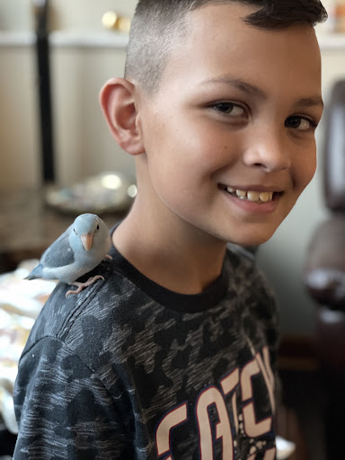 Chicago Bird House, 14414 John Humphrey Dr, Orland Park, IL 60462, USA, 