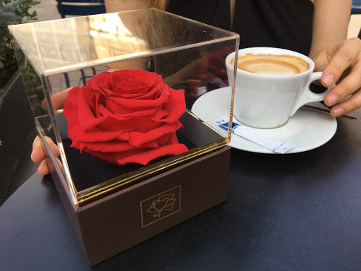 Gift Shop «Christmas Shoppe», reviews and photos, 132 S Main St, Boerne, TX 78006, USA