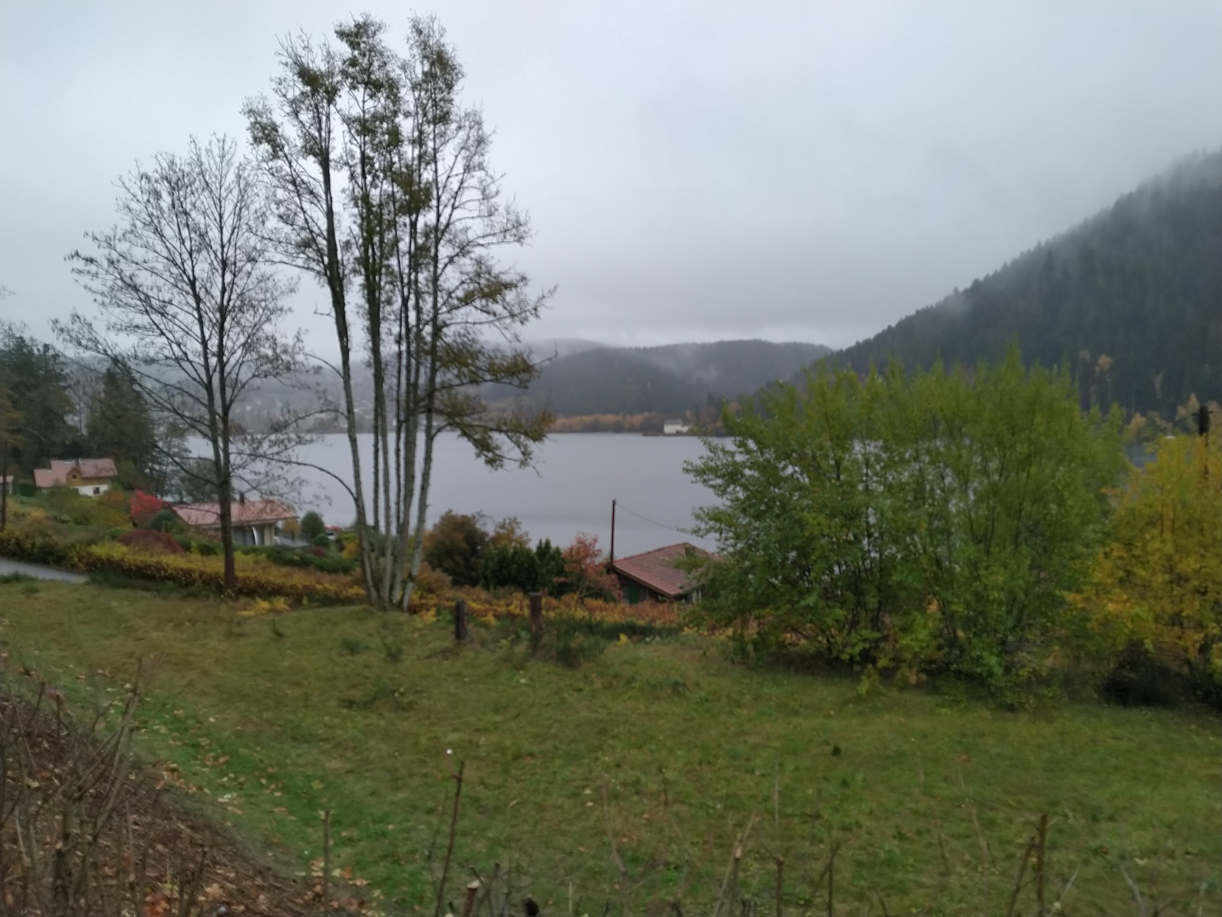 Photo n° 2 de l'avis de Dominique.r fait le 26/10/2020 à 10:44