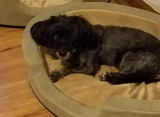 Donut Shop «The Donut Conspiracy», reviews and photos, 1971 E Beltline Ave NE #123, Grand Rapids, MI 49525, USA