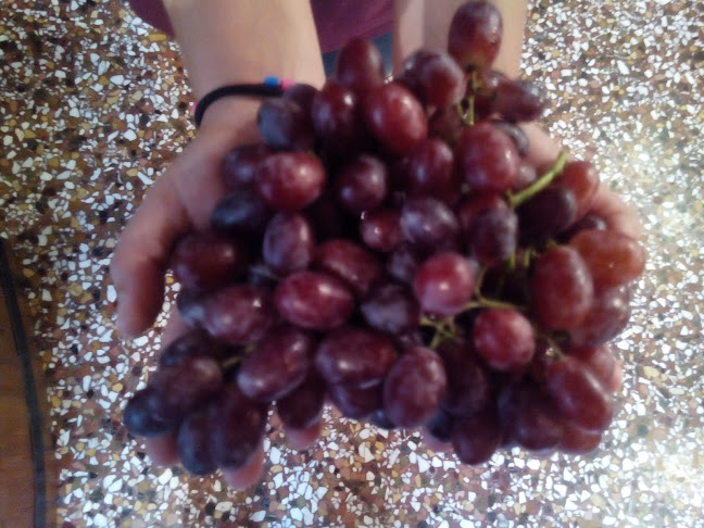 Κάβα Βάρσος - Κάβα